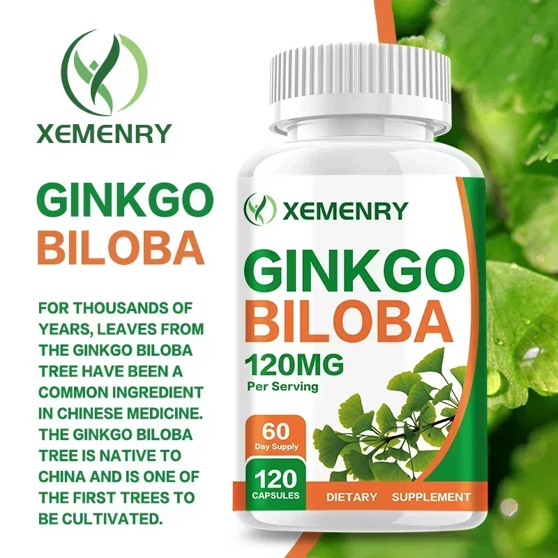 Ginkgo Biloba Extract - Ginkgo Biloba Capsules - Brain Supplement,