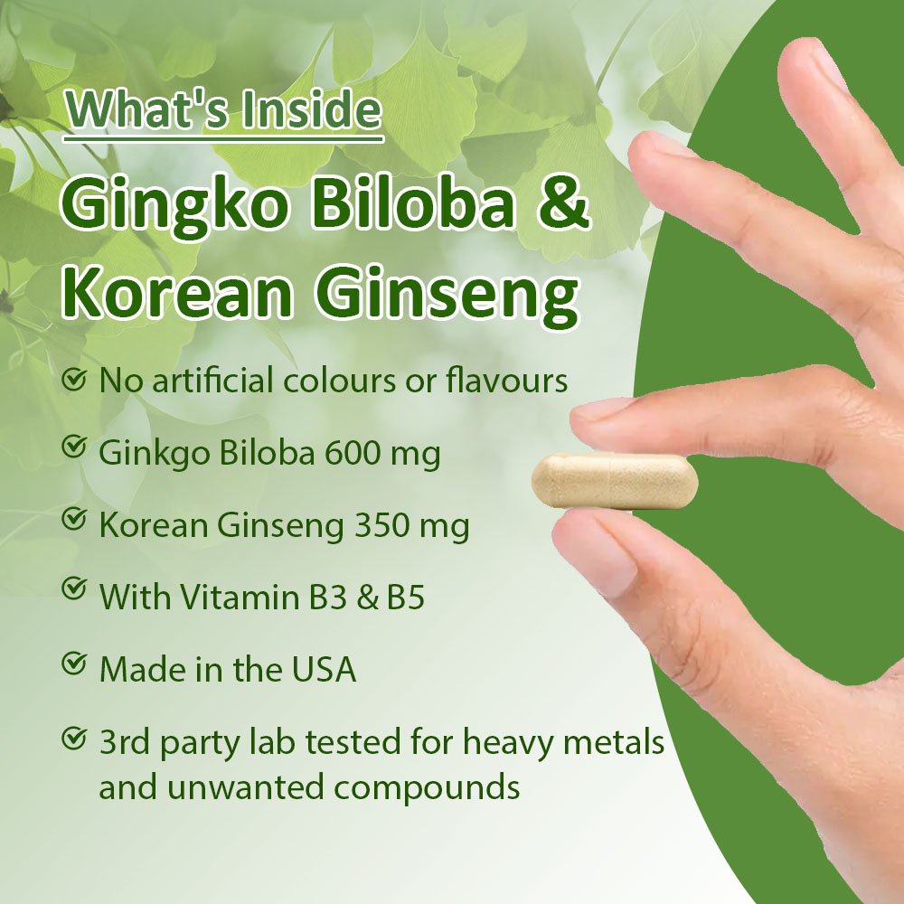 Ginkgo Biloba & Korean Ginseng - Ginkgo Biloba Extract recension och pris
