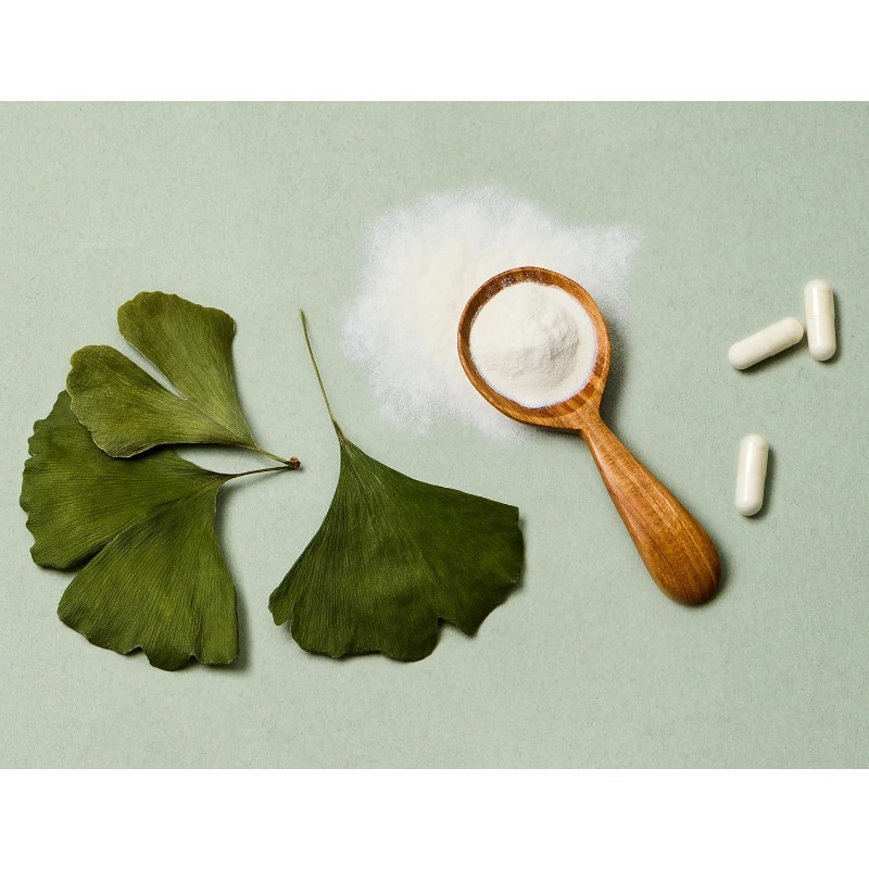 Ginkgo biloba leaf extract cap - Ginkgo Biloba Extract recension och pris