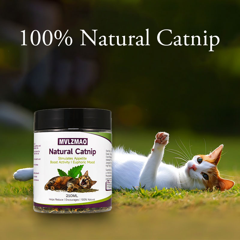 Cat Toys - Silvervine Catnip f - Nettle Leaf Tea recension och pris