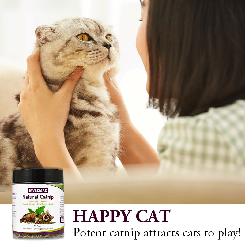 Cat Toys - Silvervine Catnip f - Nettle Leaf Tea recension och pris